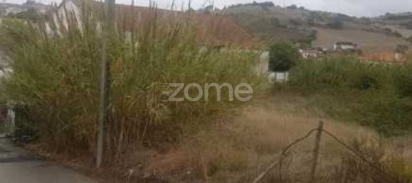 24250m² Land in Mafra, Portugal No. 81411 6