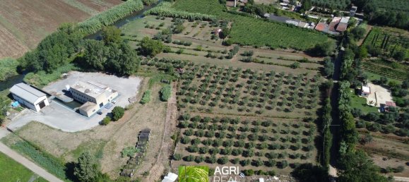 19790m² Land in Sermoneta, Italy No. 286723 4