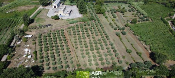 19790m² Land in Sermoneta, Italy No. 286723 5