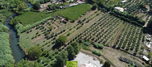 19790m² Land in Sermoneta, Italy No. 286723 3