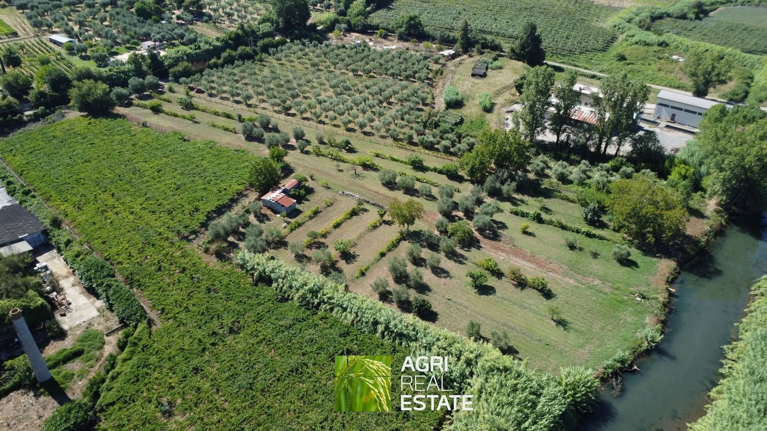 19790m² Land in Sermoneta, Italy No. 286723