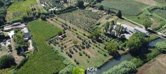 19790m² Land in Sermoneta, Italy No. 286723 2