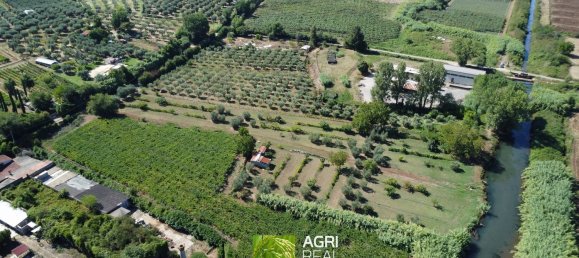 19790m² Land in Sermoneta, Italy No. 286723 6