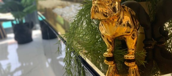 3 غرف نوم فيلا في Torrevieja, Spain رقم 290339 10