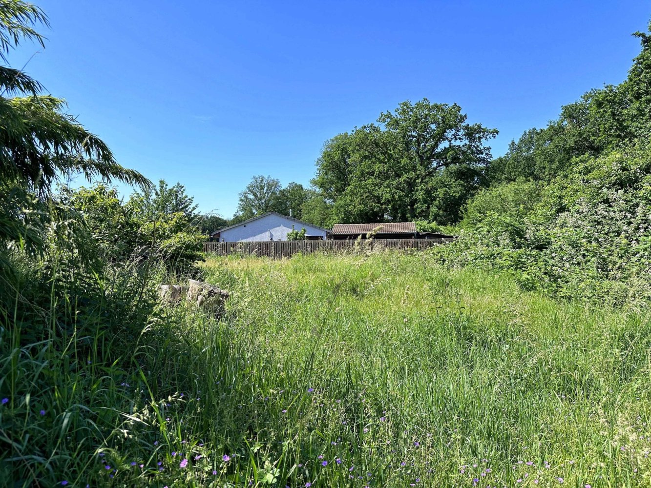 Terrain à Peine, Germany No. 162810