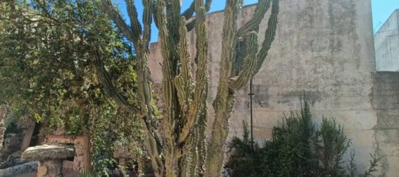 Villa de 11 dormitorios en Gagliano del Capo, Italy No. 358635 3