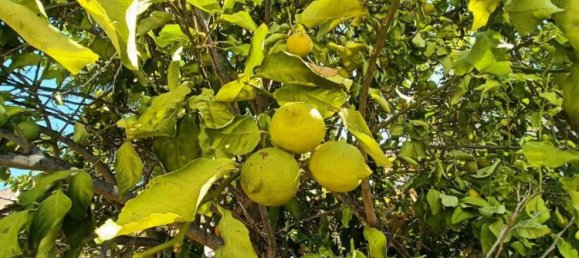 Villa de 11 dormitorios en Gagliano del Capo, Italy No. 358635 34