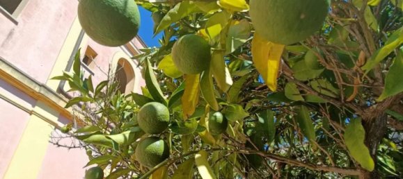 Villa de 11 dormitorios en Gagliano del Capo, Italy No. 358635 36