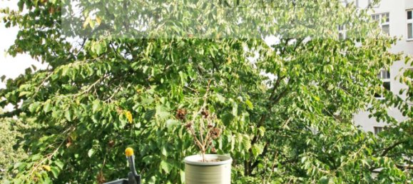 4 rooms Apartment in Wedding, Germany No. 293504 6