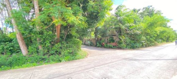 Gewerbliche Immobilie in Ko Kaeo, Thailand, Nr. 14574 3