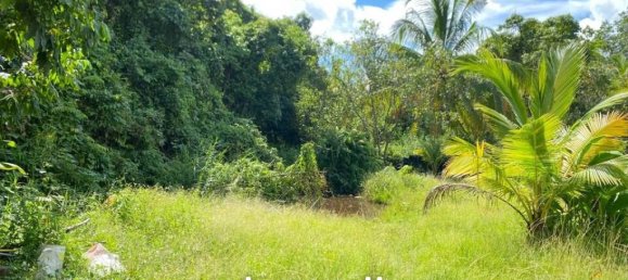 Gewerbliche Immobilie in Ko Kaeo, Thailand, Nr. 14574 2