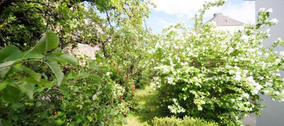 2 rooms Apartment in St. Polten, Austria No. 181501 17