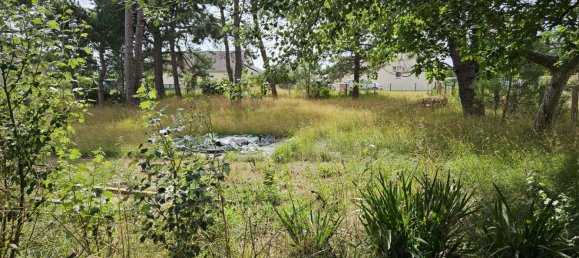  Land in Manche, France No. 293170 5