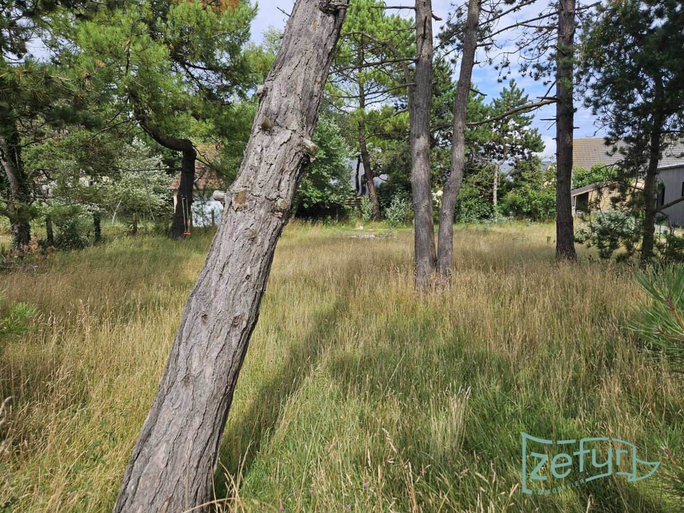  Land in Manche, France No. 293170