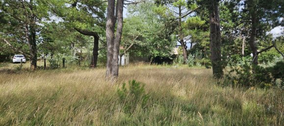  Land in Manche, France No. 293170 3