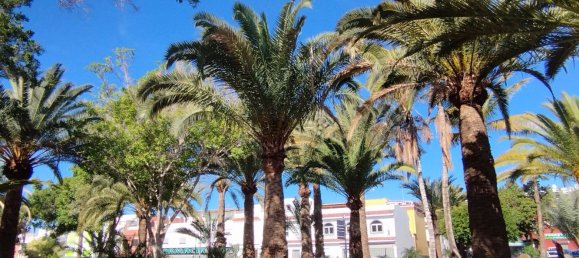 3 Schlafzimmer Haus in San Bartolome De Tirajana, Spain, Nr. 148983 7