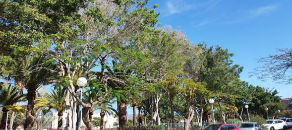 3 Schlafzimmer Haus in San Bartolome De Tirajana, Spain, Nr. 148983 3