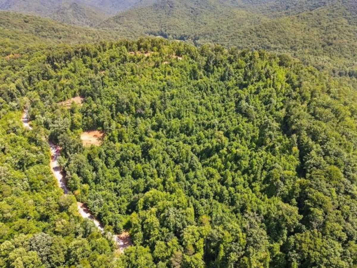 Land in Hiawassee, USA No. 544649