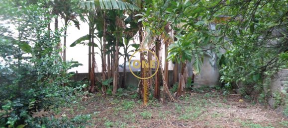 5 غرف نوم منزل في Vila Nova de Famalicao, Portugal رقم 54941 44