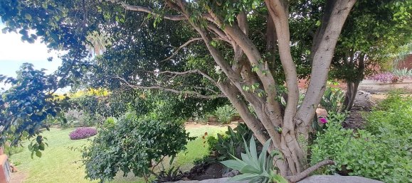 3 bedrooms House in Puerto de la Cruz, Spain No. 153087 38