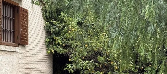 Вилла с 4 спальнями в Эльда, Испания № 170277 12