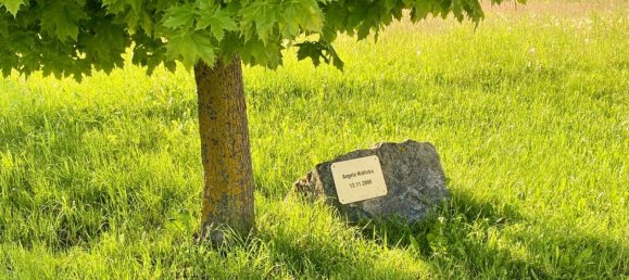 Grundstück in Dietmanns, Austria, Nr. 25222 2