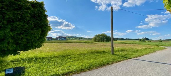 Grundstück in Dietmanns, Austria, Nr. 25222 3