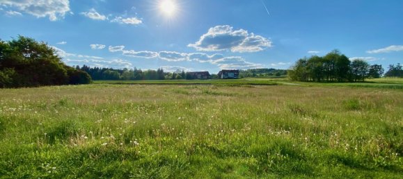 Grundstück in Dietmanns, Austria, Nr. 25222 4