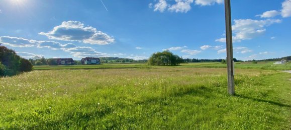 Grundstück in Dietmanns, Austria, Nr. 25222 8