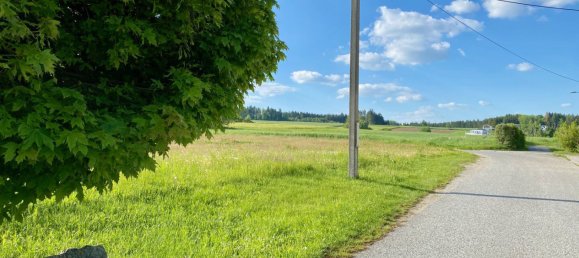 Grundstück in Dietmanns, Austria, Nr. 25222 6