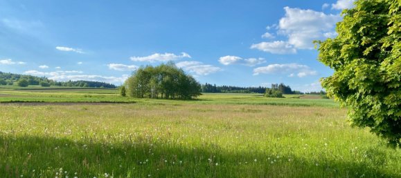Grundstück in Dietmanns, Austria, Nr. 25222 7