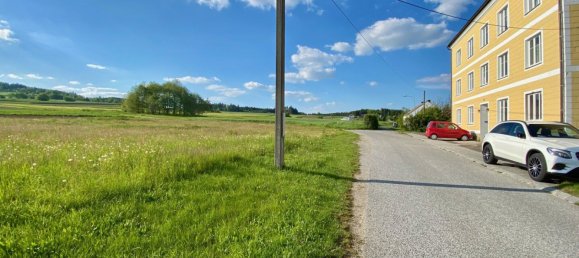 Grundstück in Dietmanns, Austria, Nr. 25222 5