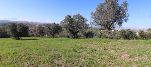 3 chambres Villa à Tortoreto, Italy No. 77927 48