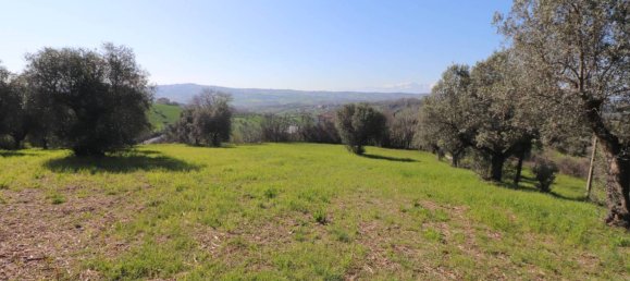 3 chambres Villa à Tortoreto, Italy No. 77927 46