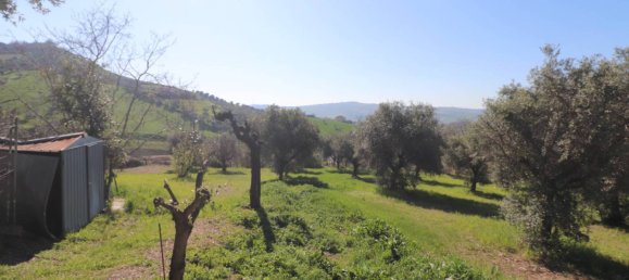 3 chambres Villa à Tortoreto, Italy No. 77927 31