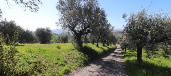 3 chambres Villa à Tortoreto, Italy No. 77927 45