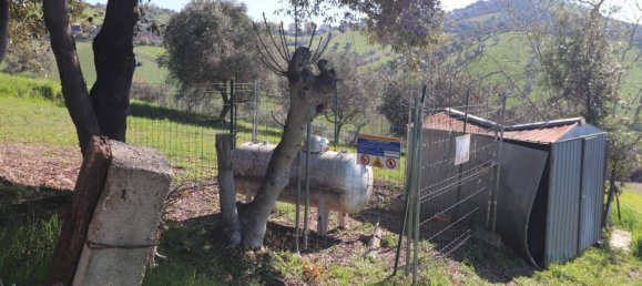 3 chambres Villa à Tortoreto, Italy No. 77927 32