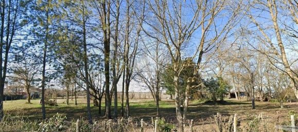 Grundstück in Bentivoglio, Italy 20000m², Nr. 71545 5