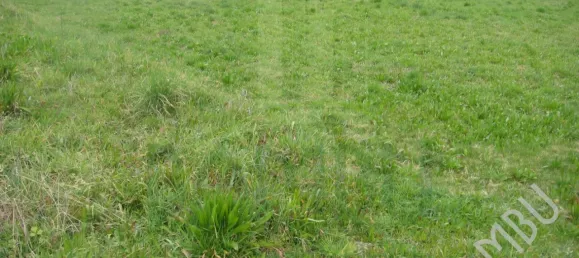 Terreno em Caminha, Portugal N.º 56505 4