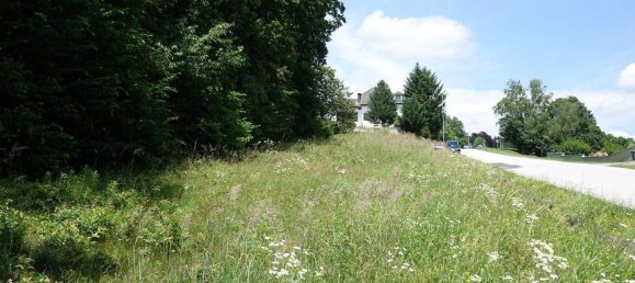 Земельный участок в Оллерсдорф им Бургенланд, Австрия № 79086 3