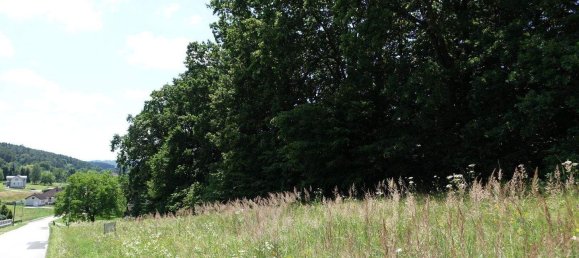 Земельный участок в Оллерсдорф им Бургенланд, Австрия № 79086 2