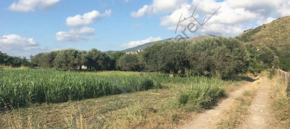 7400m² Land in Sessa Aurunca, Italy No. 85218 3