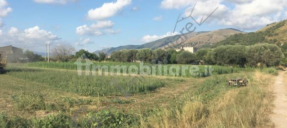 7400m² Land in Sessa Aurunca, Italy No. 85218 4