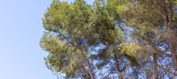 3 Schlafzimmer Haus in Alicante, Spain, Nr. 154552 47