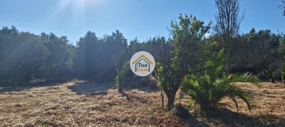 4450m² Land in Loule, Portugal No. 86040 4
