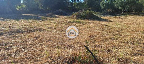 4450m² Land in Loule, Portugal No. 86040 12