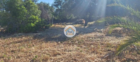 4450m² Land in Loule, Portugal No. 86040 18
