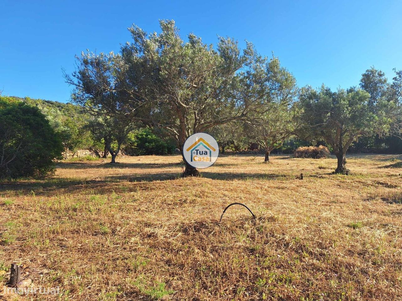 4450m² Land in Loule, Portugal No. 86040