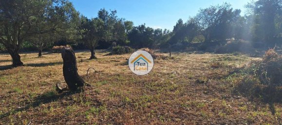 4450m² Land in Loule, Portugal No. 86040 8