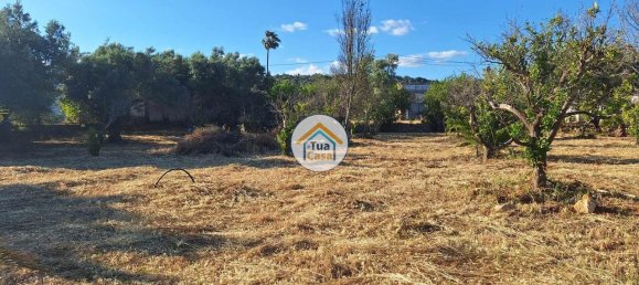 4450m² Land in Loule, Portugal No. 86040 17